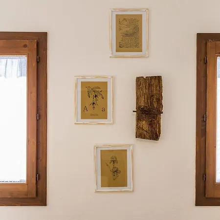 公寓 Casa Amelia Sul Mare *